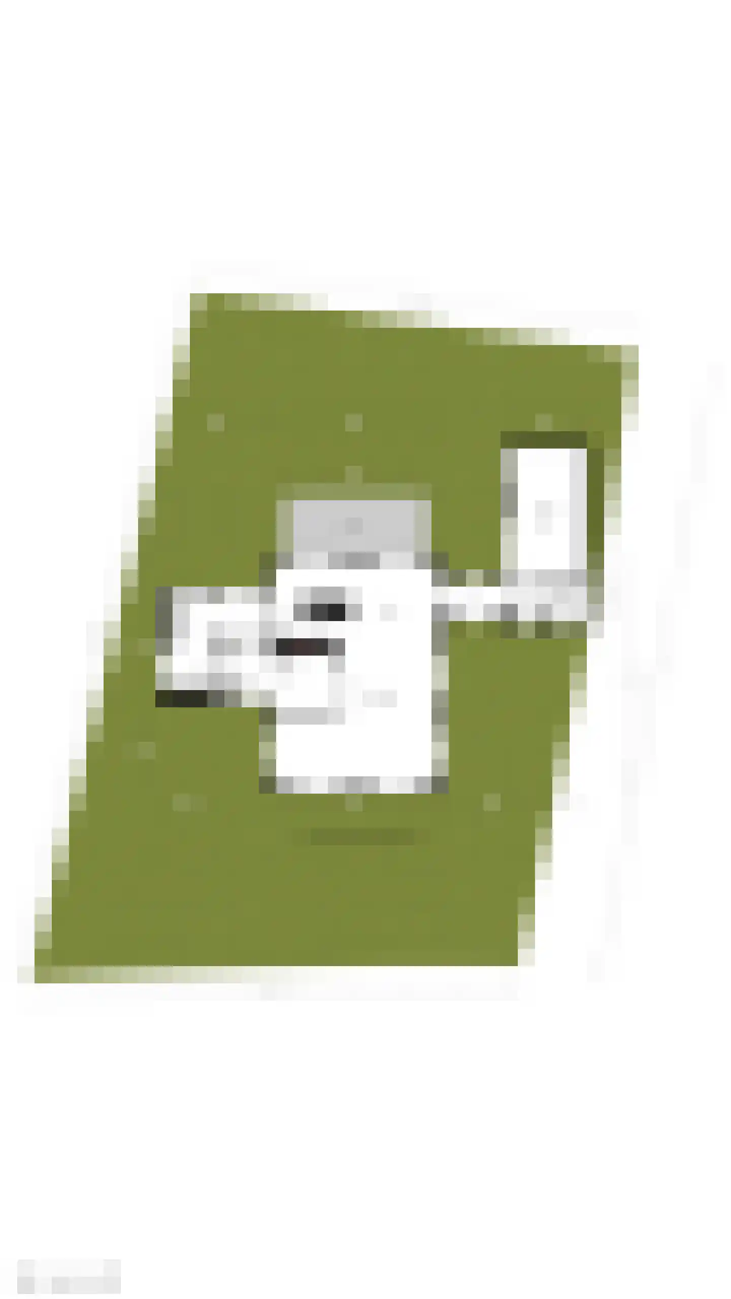 Oude Kerkweg 28 Laren thumbnail 37