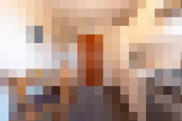 Oude Kerkweg 31 Doornspijk thumbnail 10