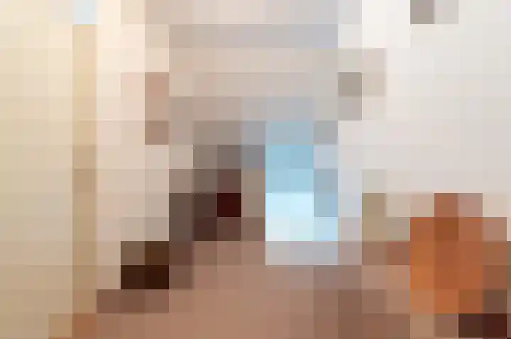 Oude Kerkweg 31 Doornspijk thumbnail 19