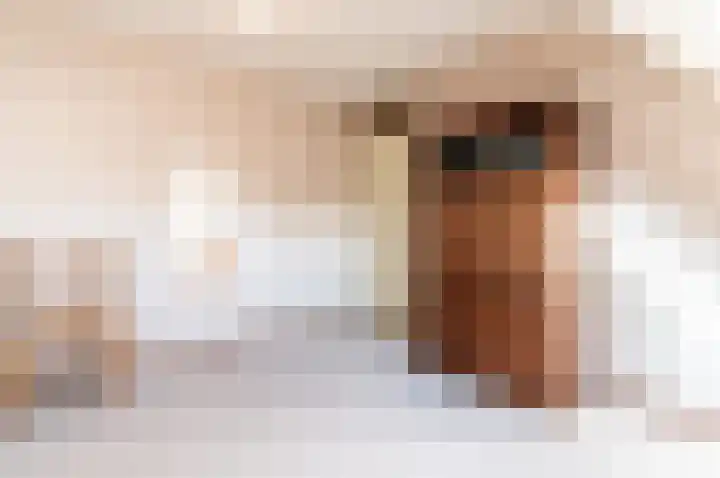 Oude Kerkweg 31 Doornspijk thumbnail 24