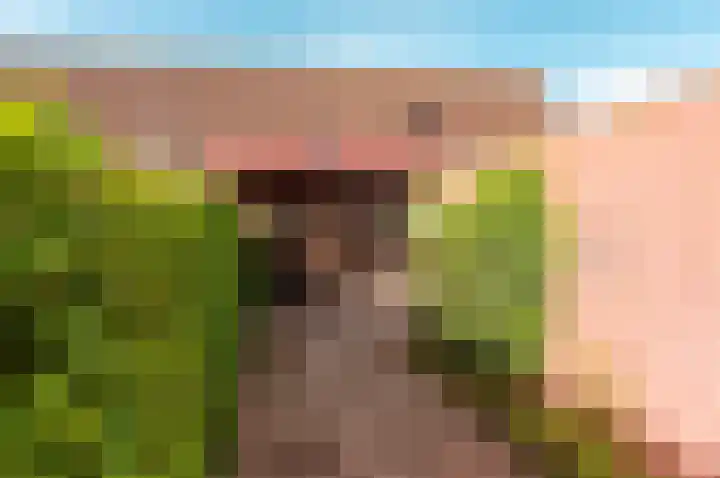 Oude Kerkweg 31 Doornspijk thumbnail 31