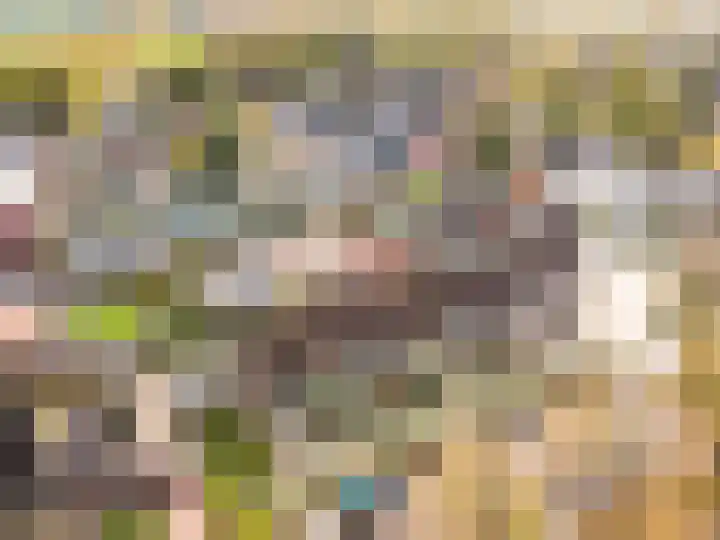 Oude Kerkweg 31 Doornspijk thumbnail 35