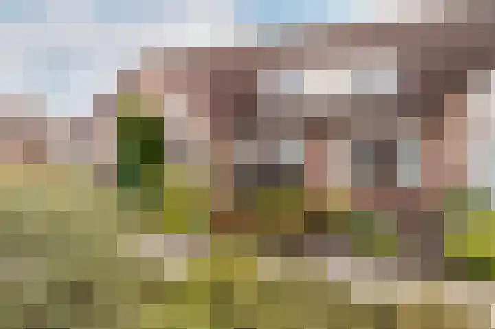 Oude Kerkweg 31 Doornspijk thumbnail 4