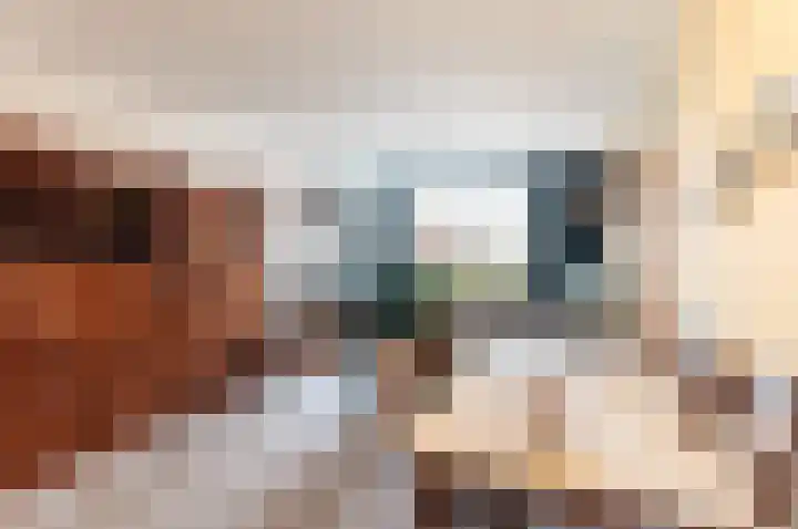 Oude Kerkweg 31 Doornspijk thumbnail 8