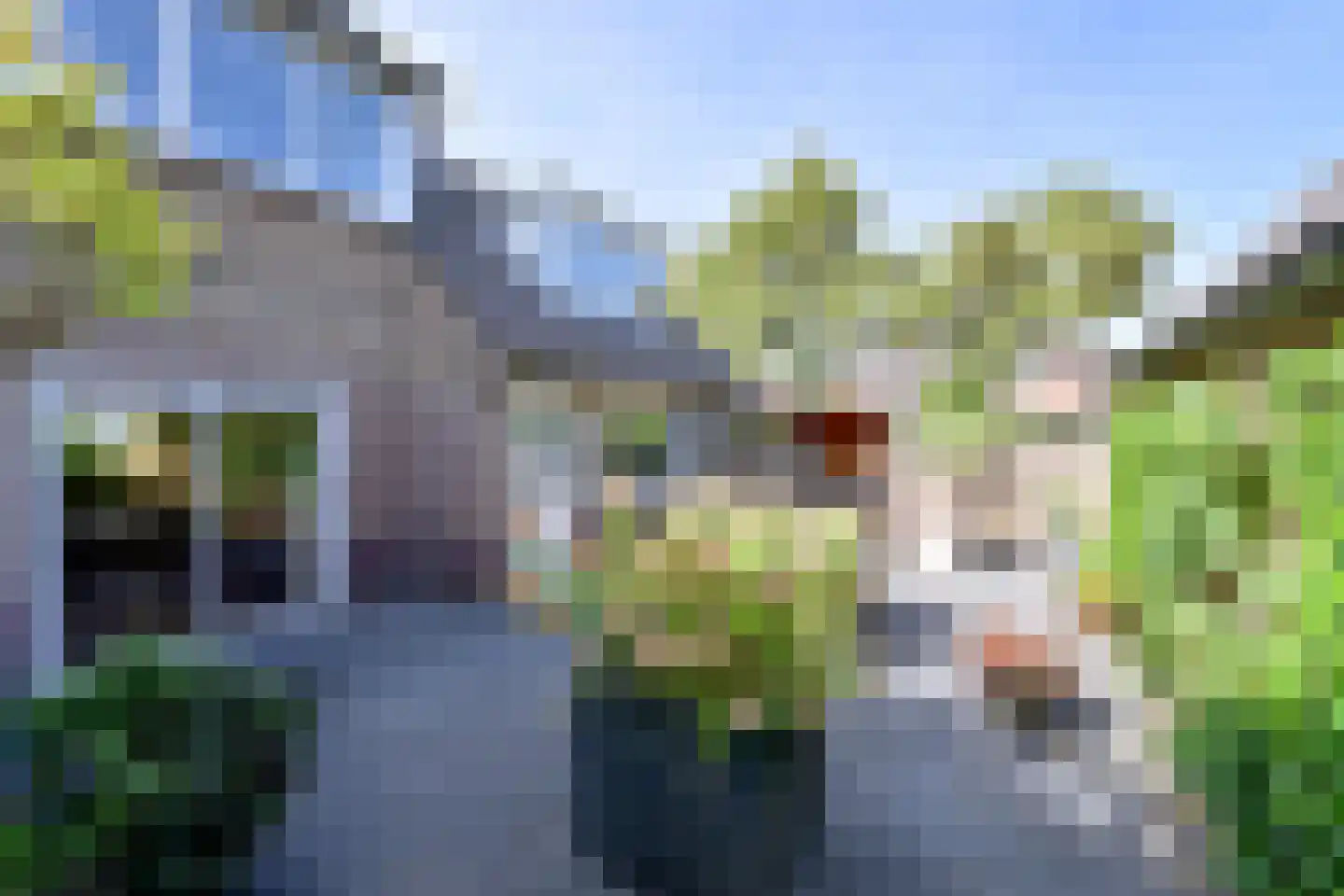 Oude Kerkweg 31 Laren thumbnail 12