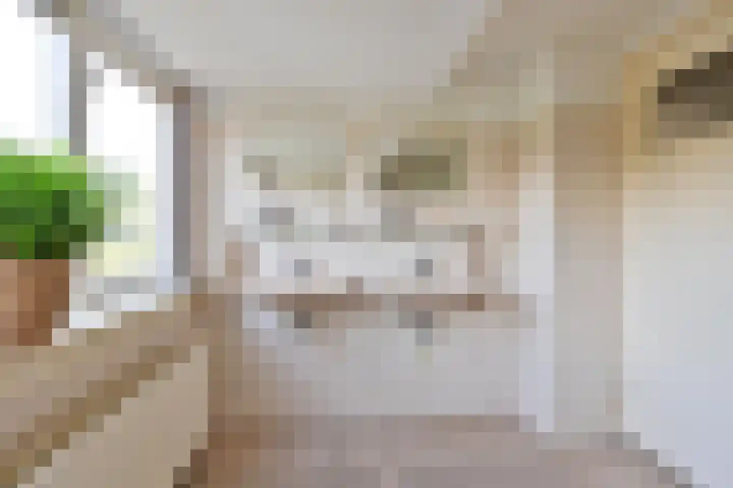 Oude Kerkweg 31 Laren thumbnail 20