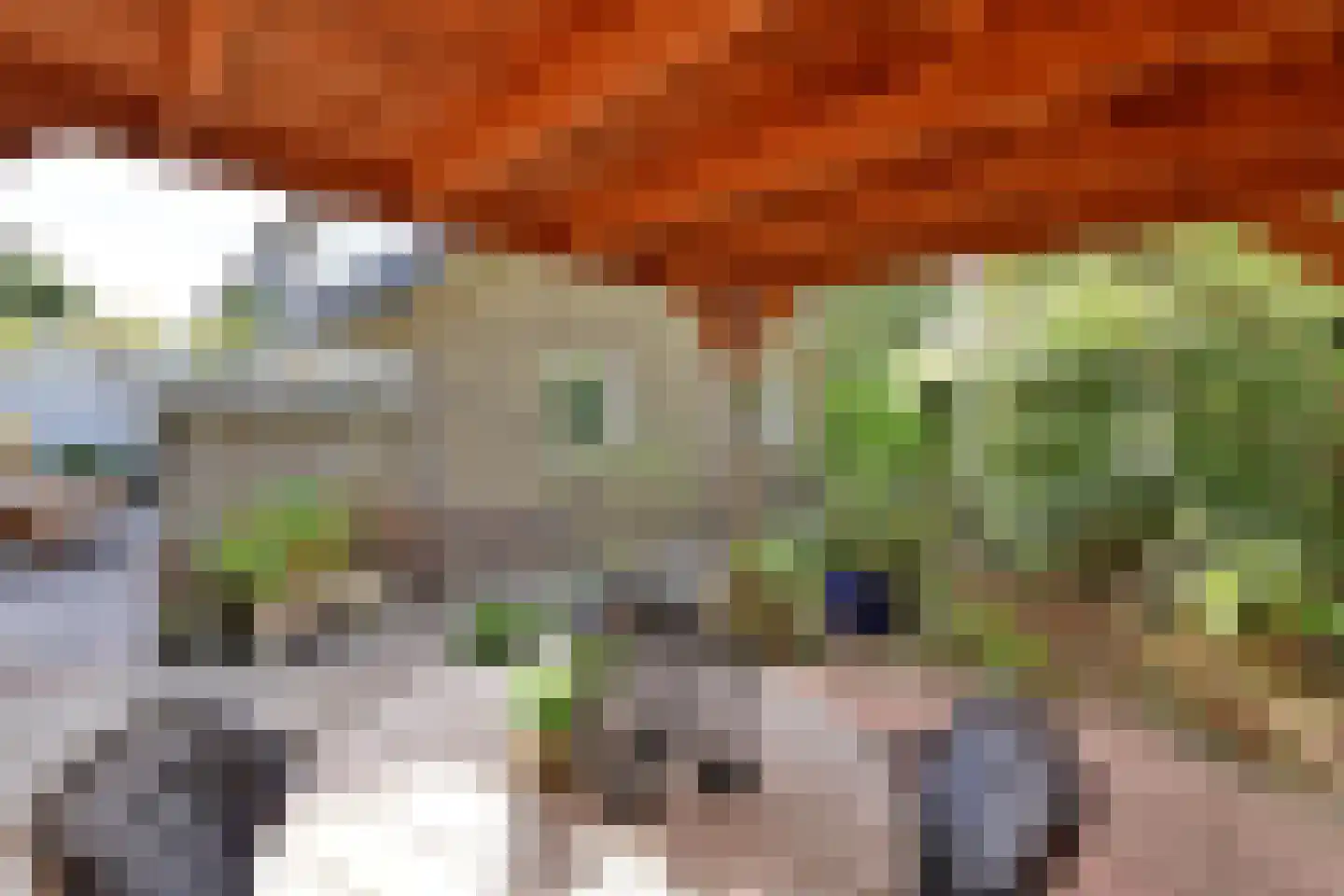 Oude Kerkweg 31 Laren thumbnail 22