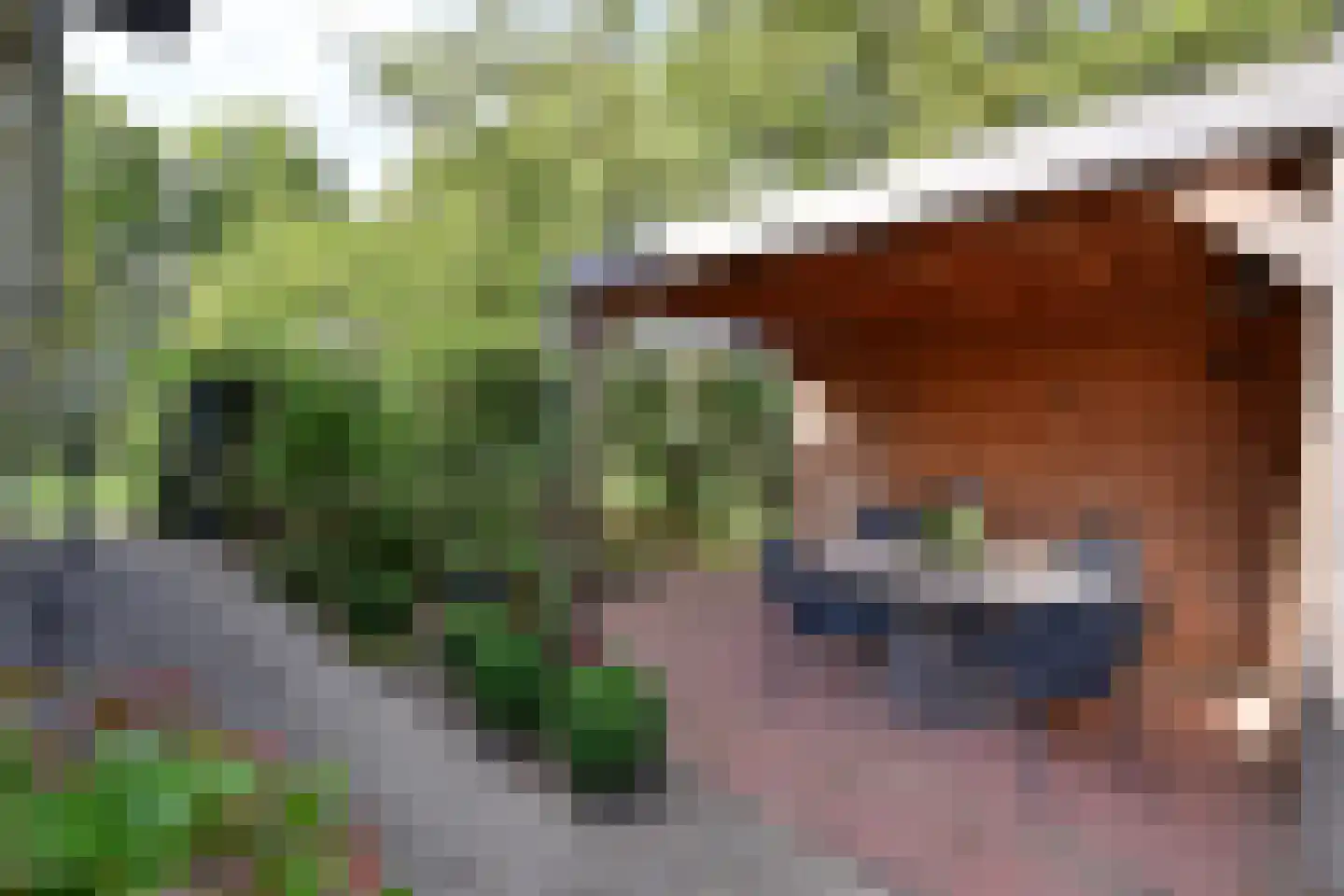 Oude Kerkweg 31 Laren thumbnail 23