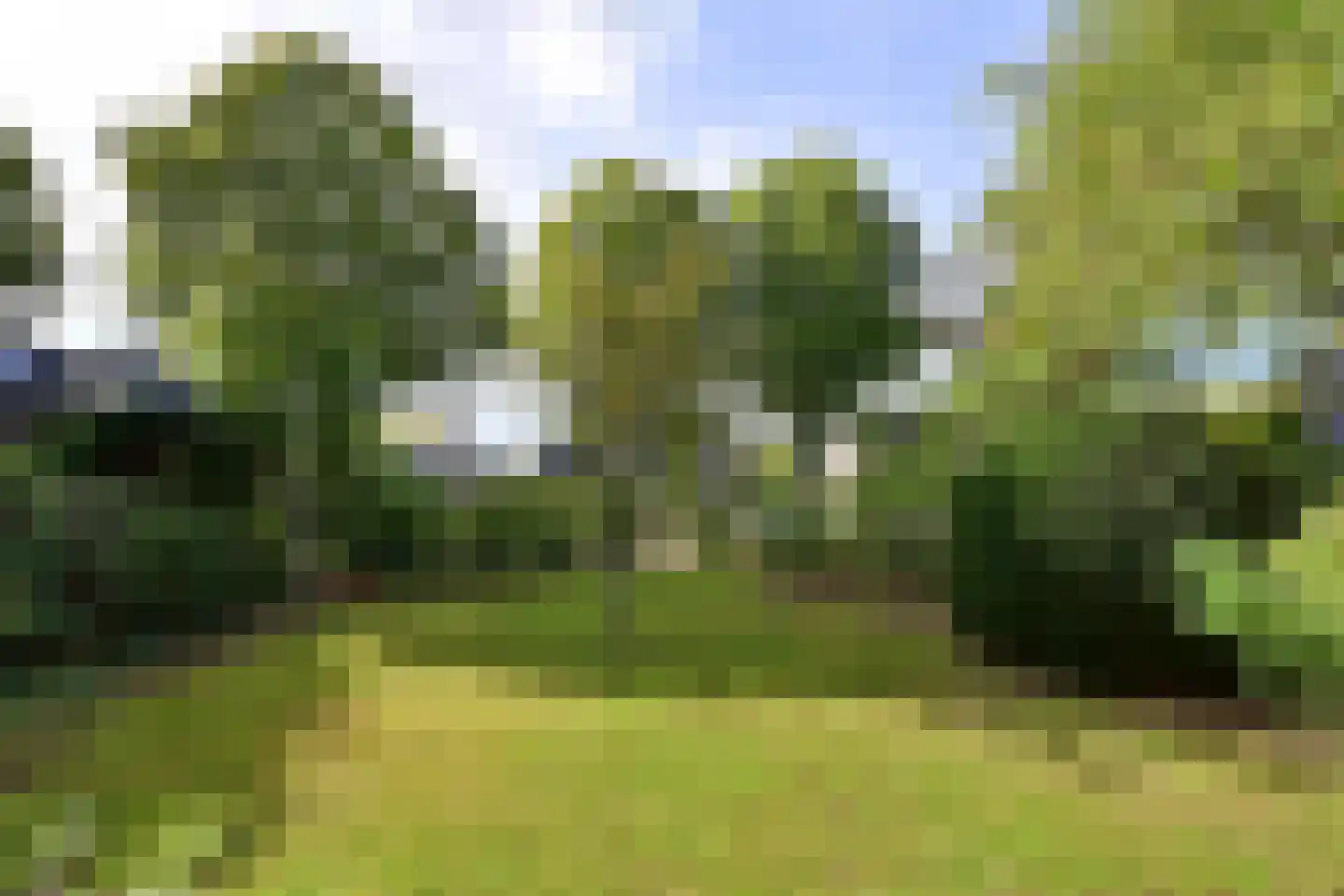 Oude Kerkweg 31 Laren thumbnail 27