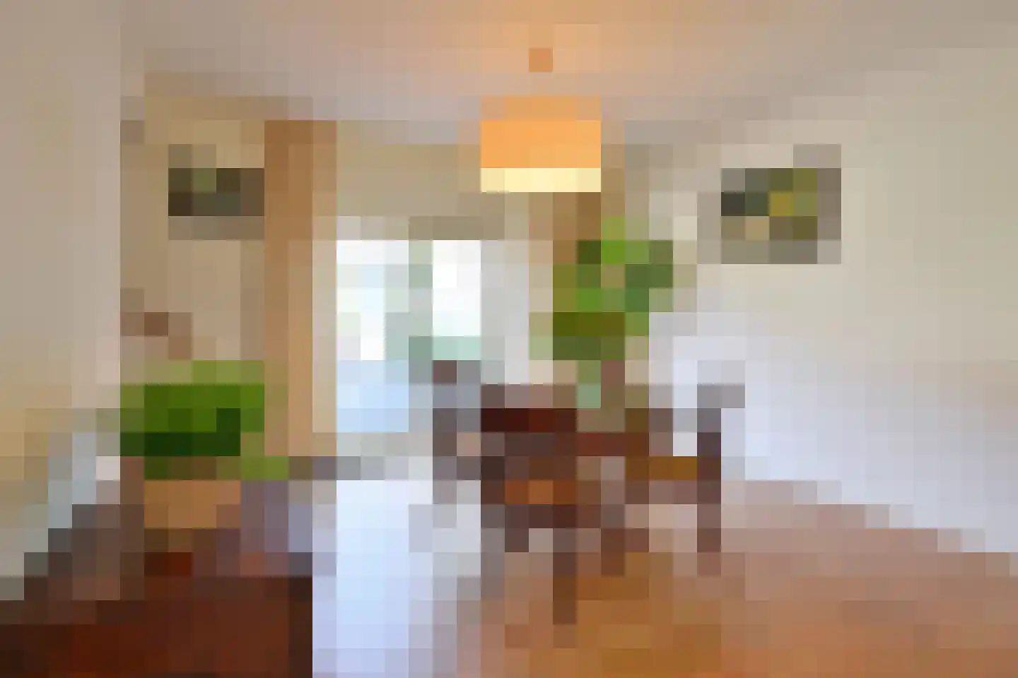 Oude Kerkweg 31 Laren thumbnail 8