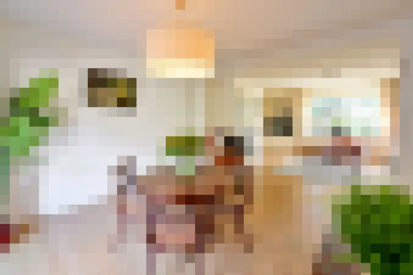 Oude Kerkweg 31 Laren thumbnail 9