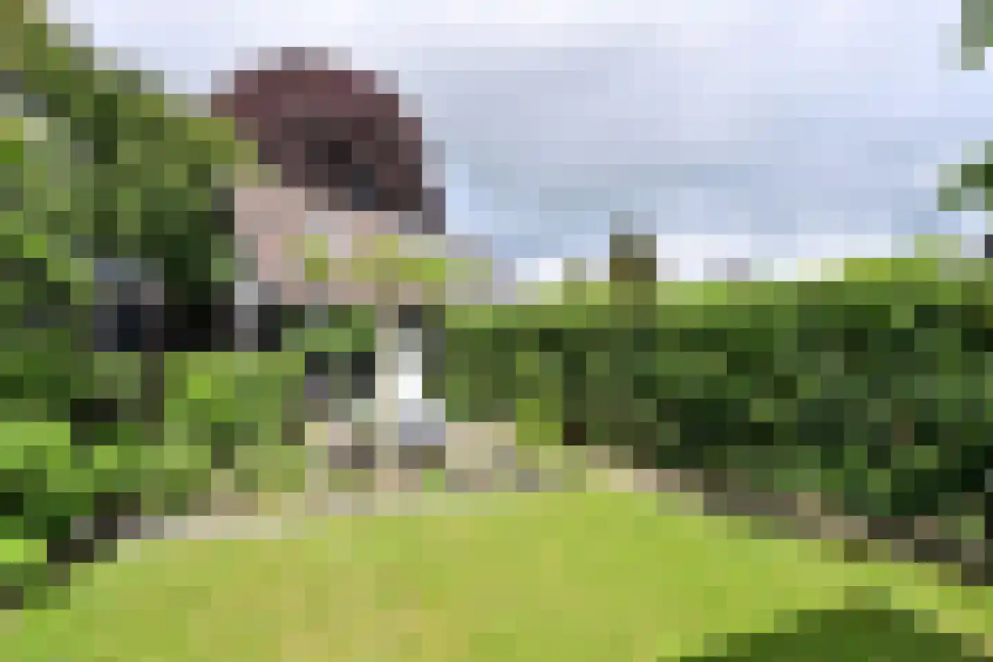 Oude Kerkweg 37 Laren thumbnail 10