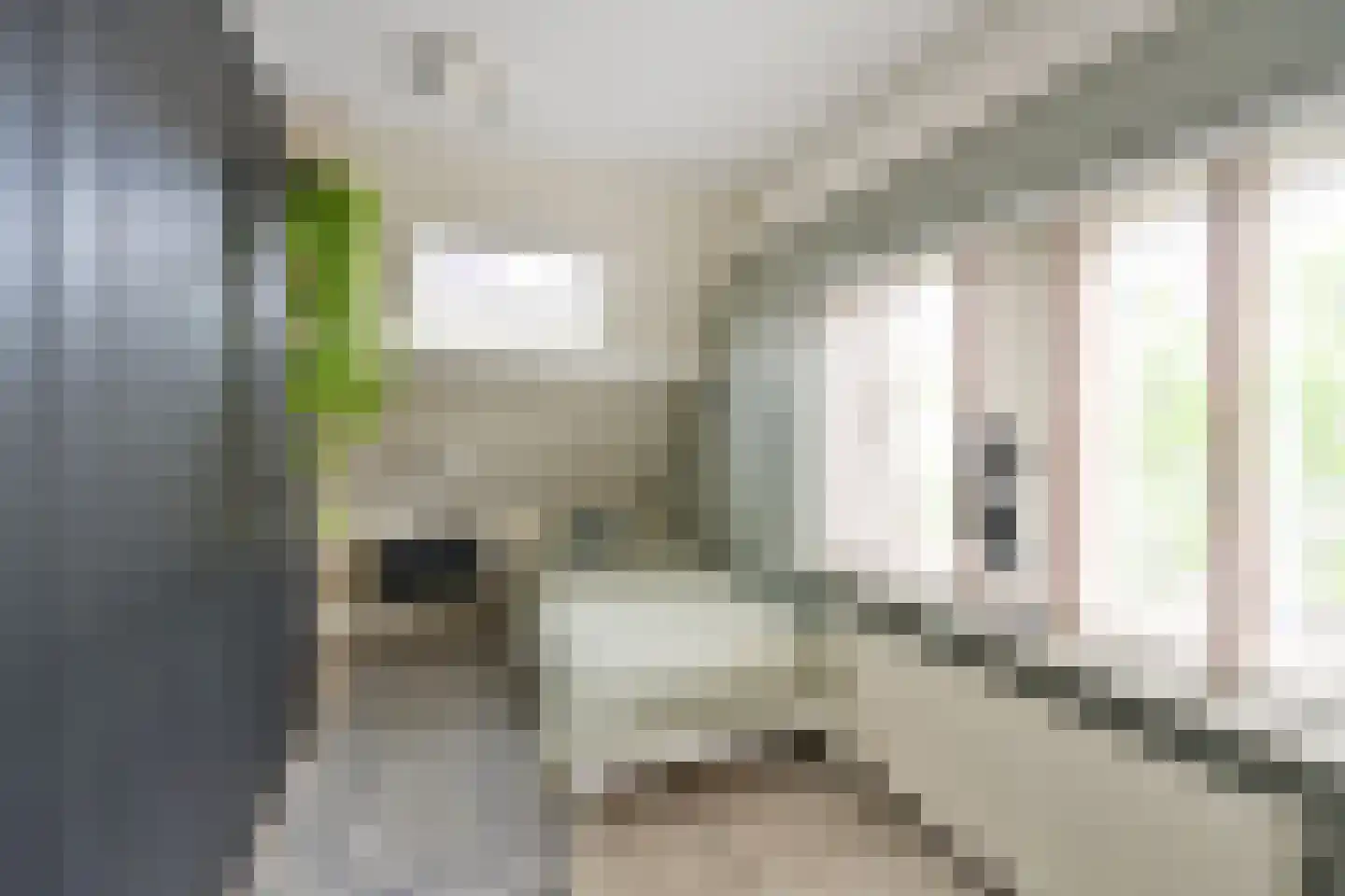 Oude Kerkweg 37 Laren thumbnail 14