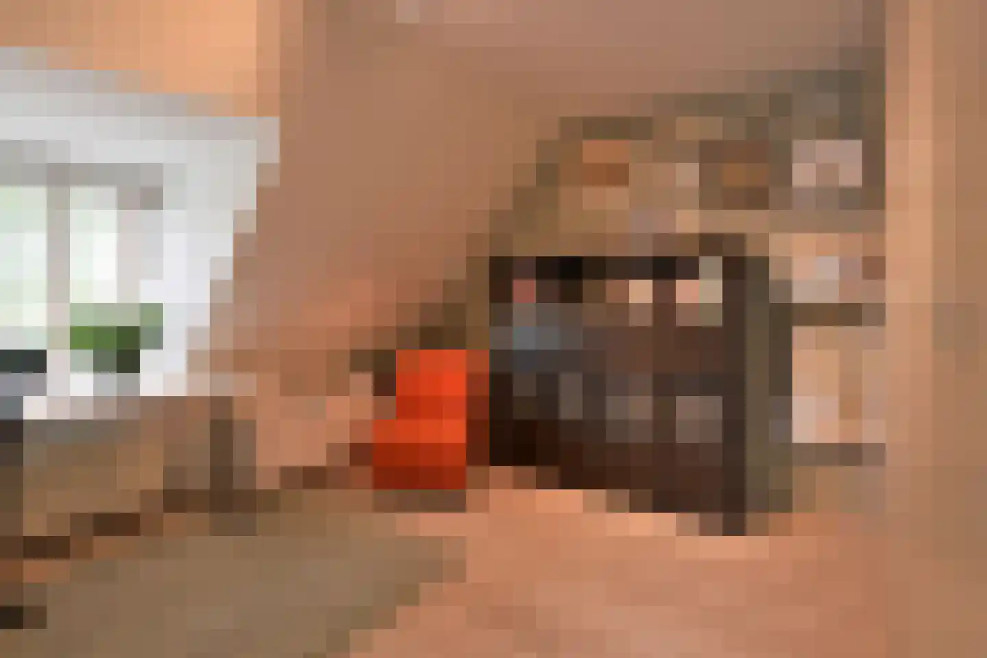 Oude Kerkweg 37 Laren thumbnail 15