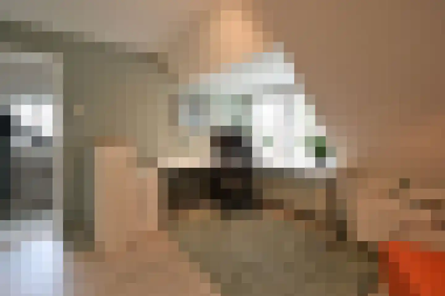 Oude Kerkweg 37 Laren thumbnail 16