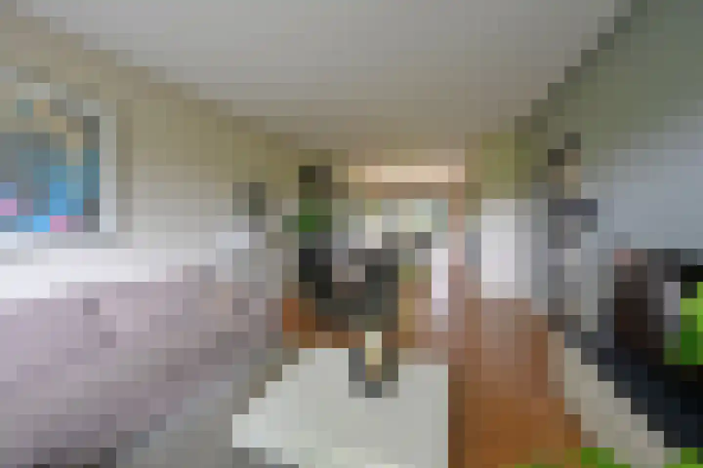 Oude Kerkweg 37 Laren thumbnail 5