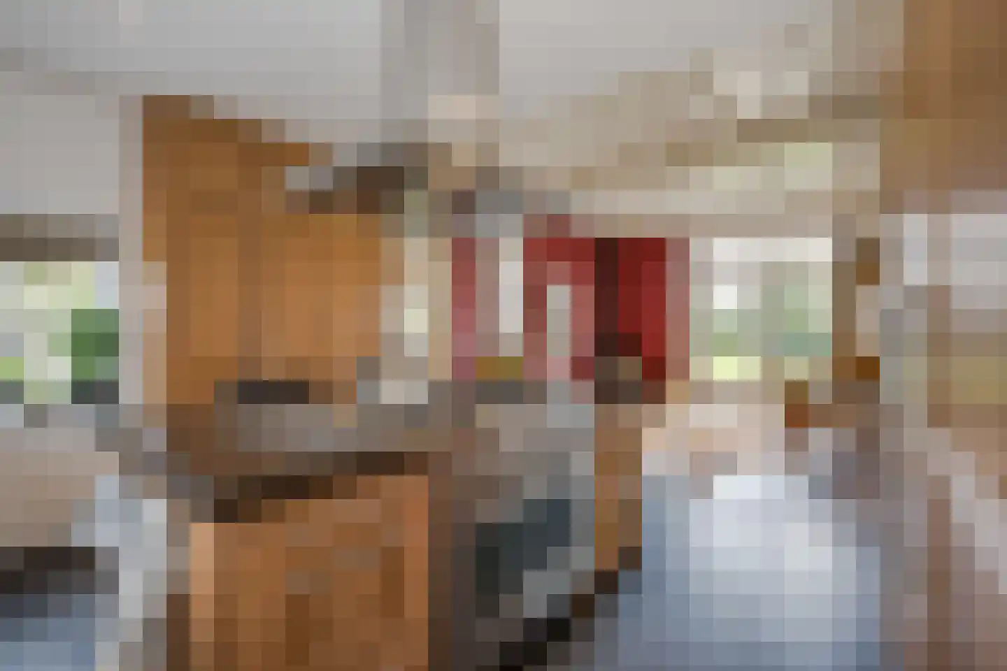 Oude Kerkweg 4 a Hoogmade thumbnail 12