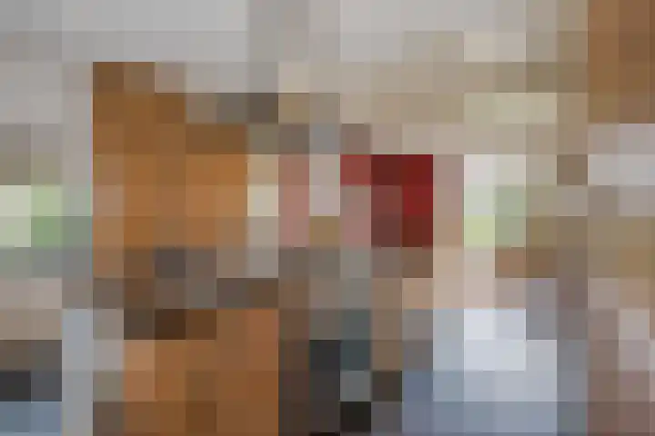 Oude Kerkweg 4 a Hoogmade thumbnail 12