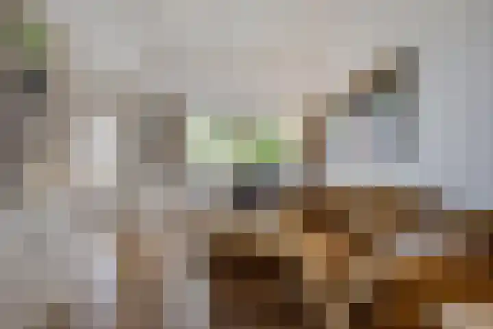 Oude Kerkweg 4 a Hoogmade thumbnail 14