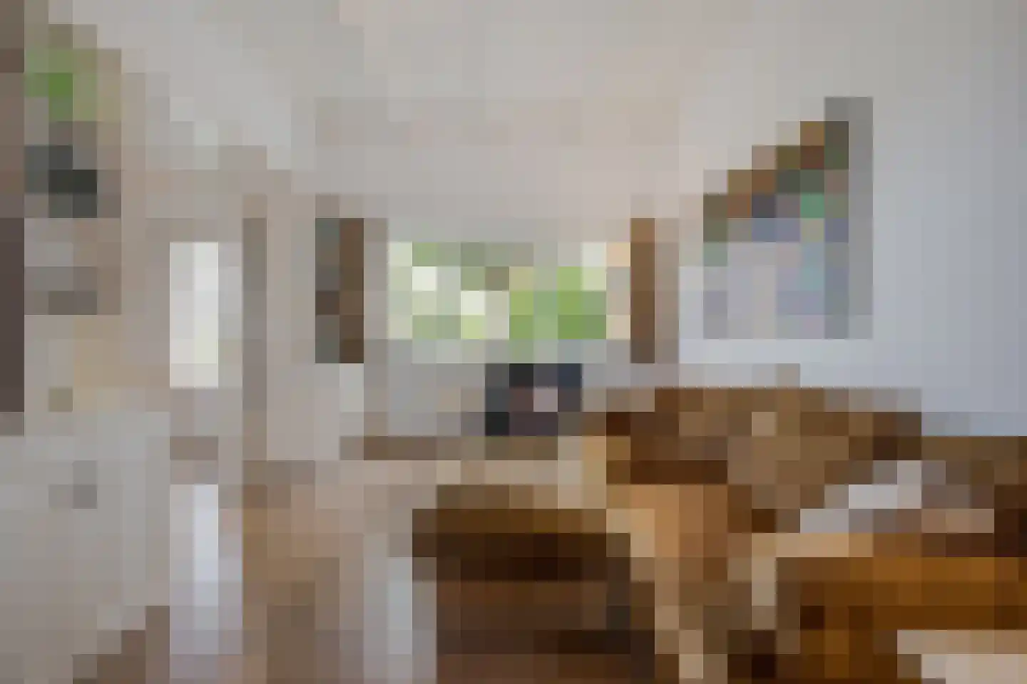 Oude Kerkweg 4 a Hoogmade thumbnail 14