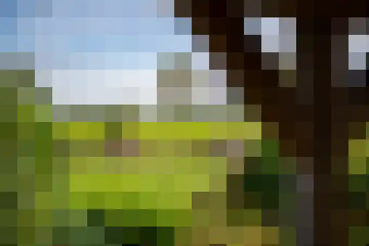 Oude Kerkweg 4 a Hoogmade thumbnail 18