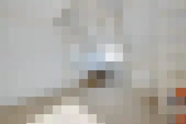 Oude Kerkweg 4 a Hoogmade thumbnail 30