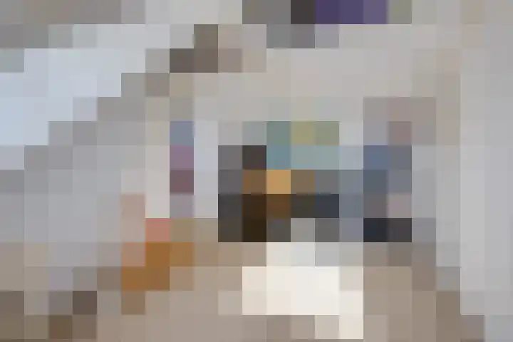 Oude Kerkweg 4 a Hoogmade thumbnail 31