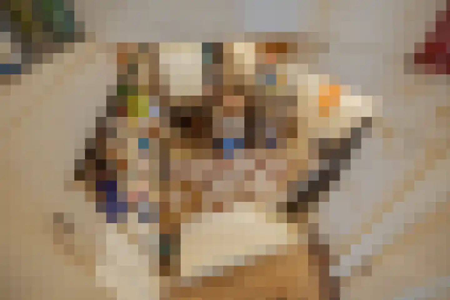 Oude Kerkweg 4 a Hoogmade thumbnail 37