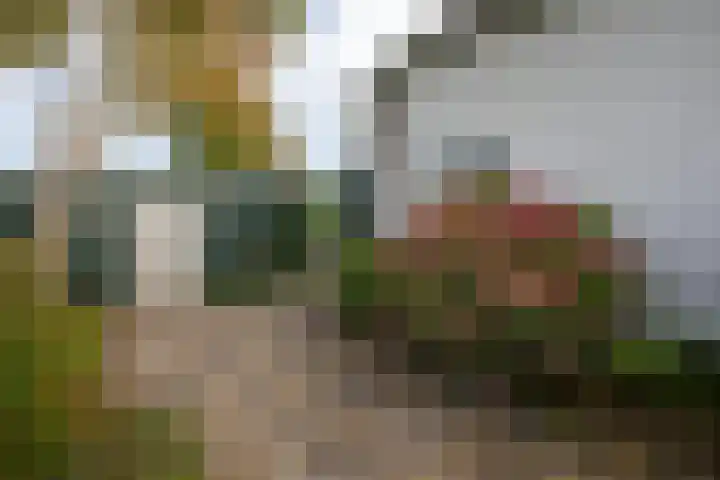 Oude Kerkweg 4 a Hoogmade thumbnail 38