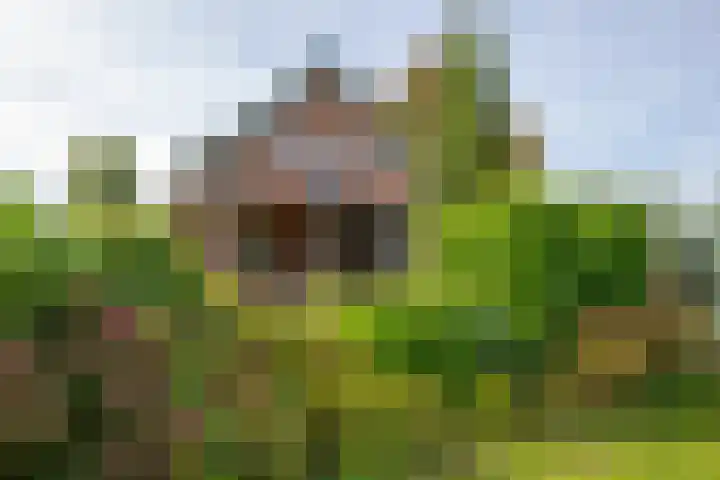 Oude Kerkweg 4 a Hoogmade thumbnail 41