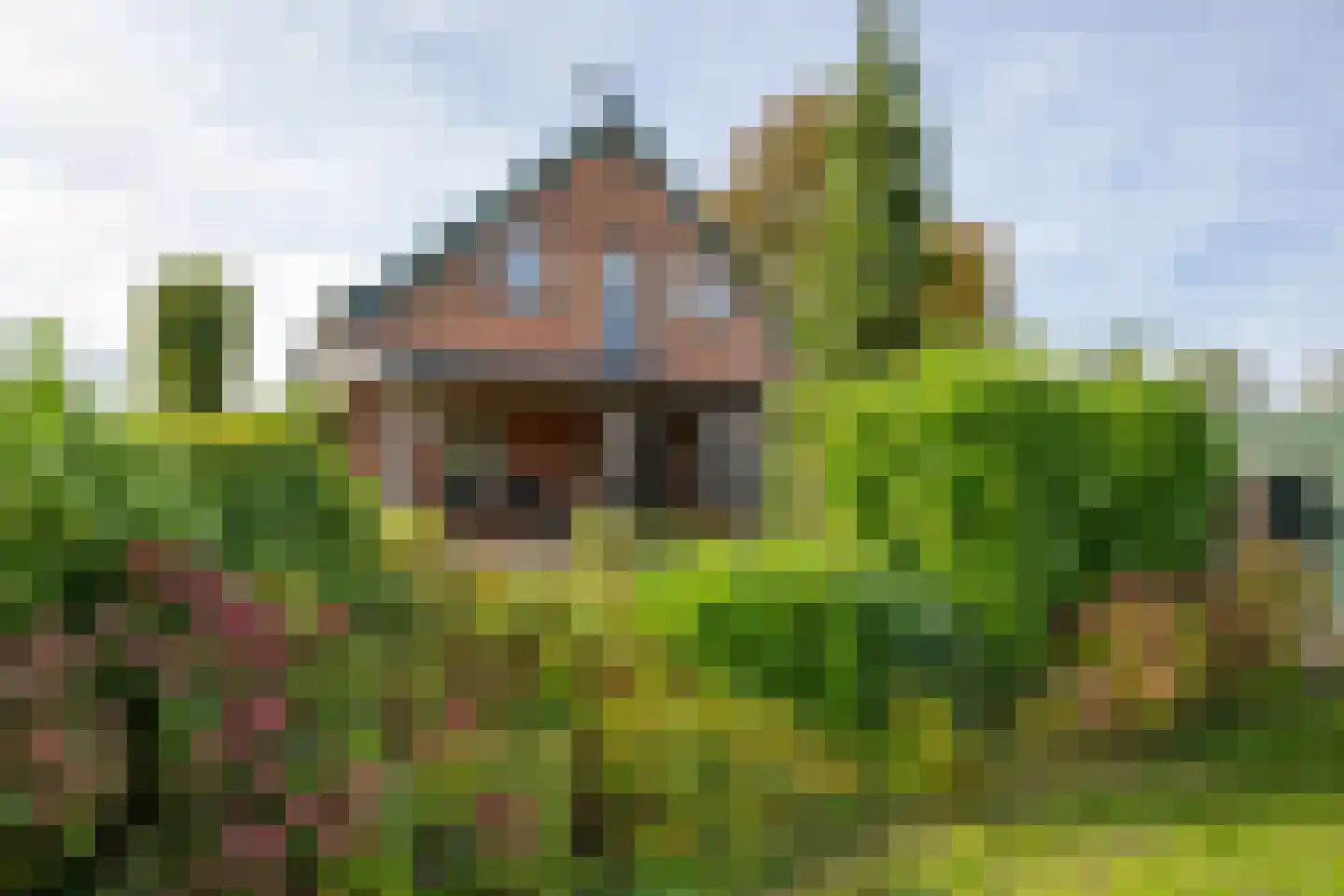 Oude Kerkweg 4 a Hoogmade thumbnail 41
