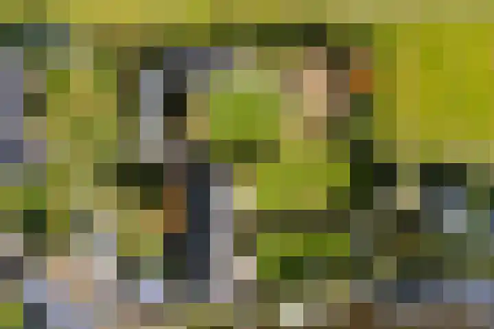Oude Kerkweg 4 a Hoogmade thumbnail 46