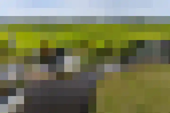 Oude Kerkweg 4 a Hoogmade thumbnail 48