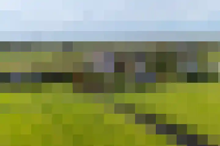 Oude Kerkweg 4 a Hoogmade thumbnail 49