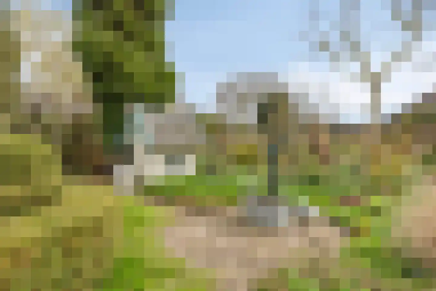 Oude Kerkweg 5 Hoogmade thumbnail 25
