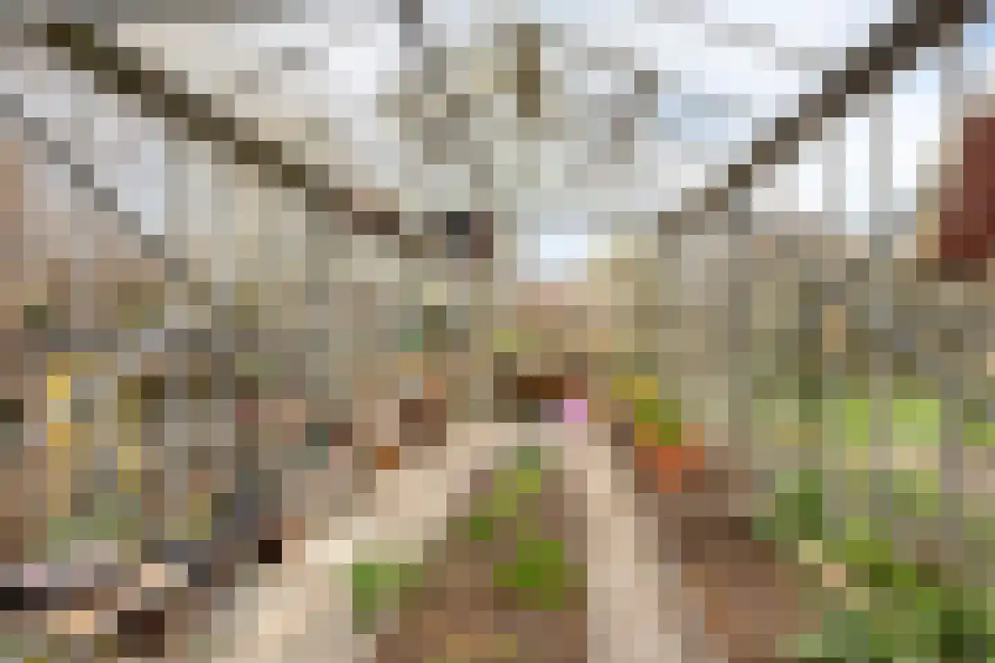 Oude Kerkweg 5 Hoogmade thumbnail 28