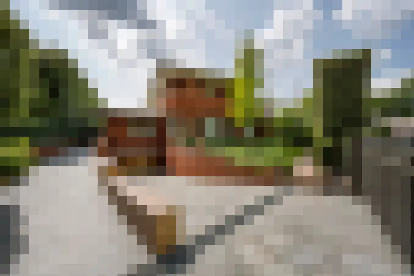 Oude Kerkweg 6 Laren foto 2