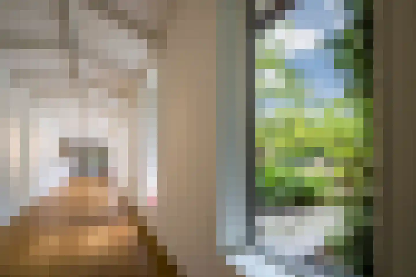 Oude Kerkweg 6 Laren thumbnail 28