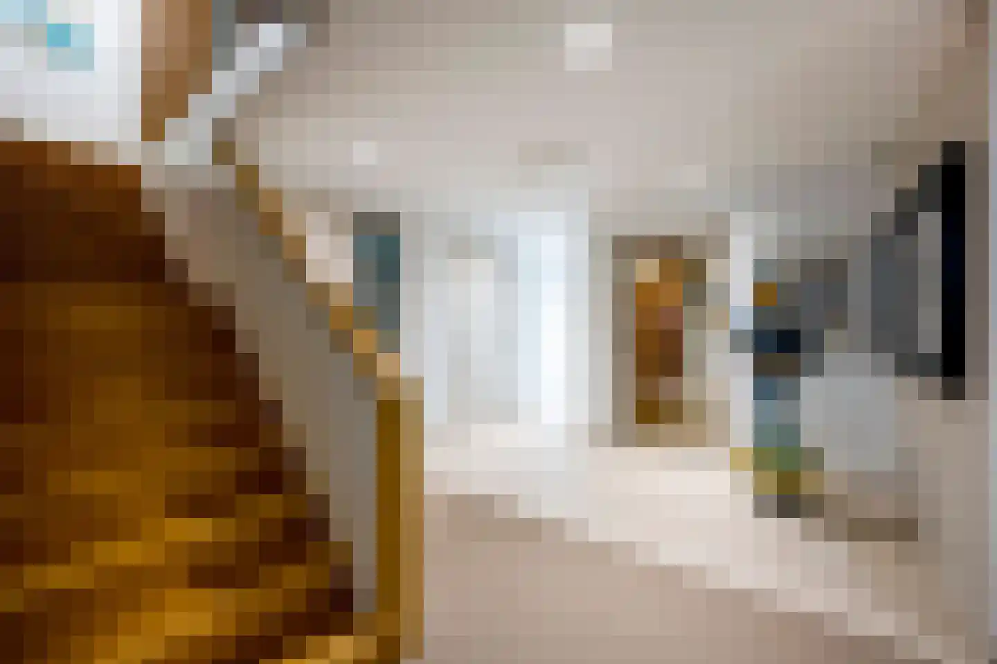 Oude Kerkweg 6 Laren thumbnail 42