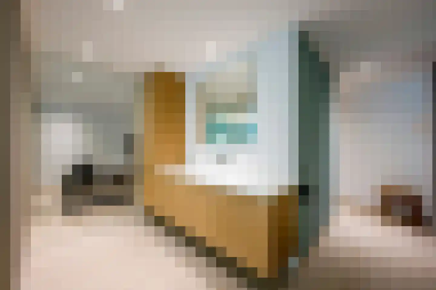 Oude Kerkweg 6 Laren thumbnail 44