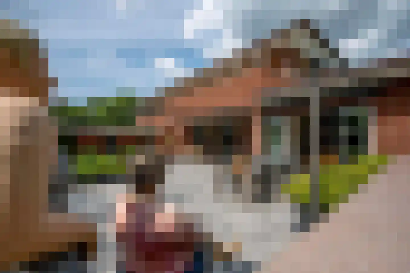 Oude Kerkweg 6 Laren thumbnail 5