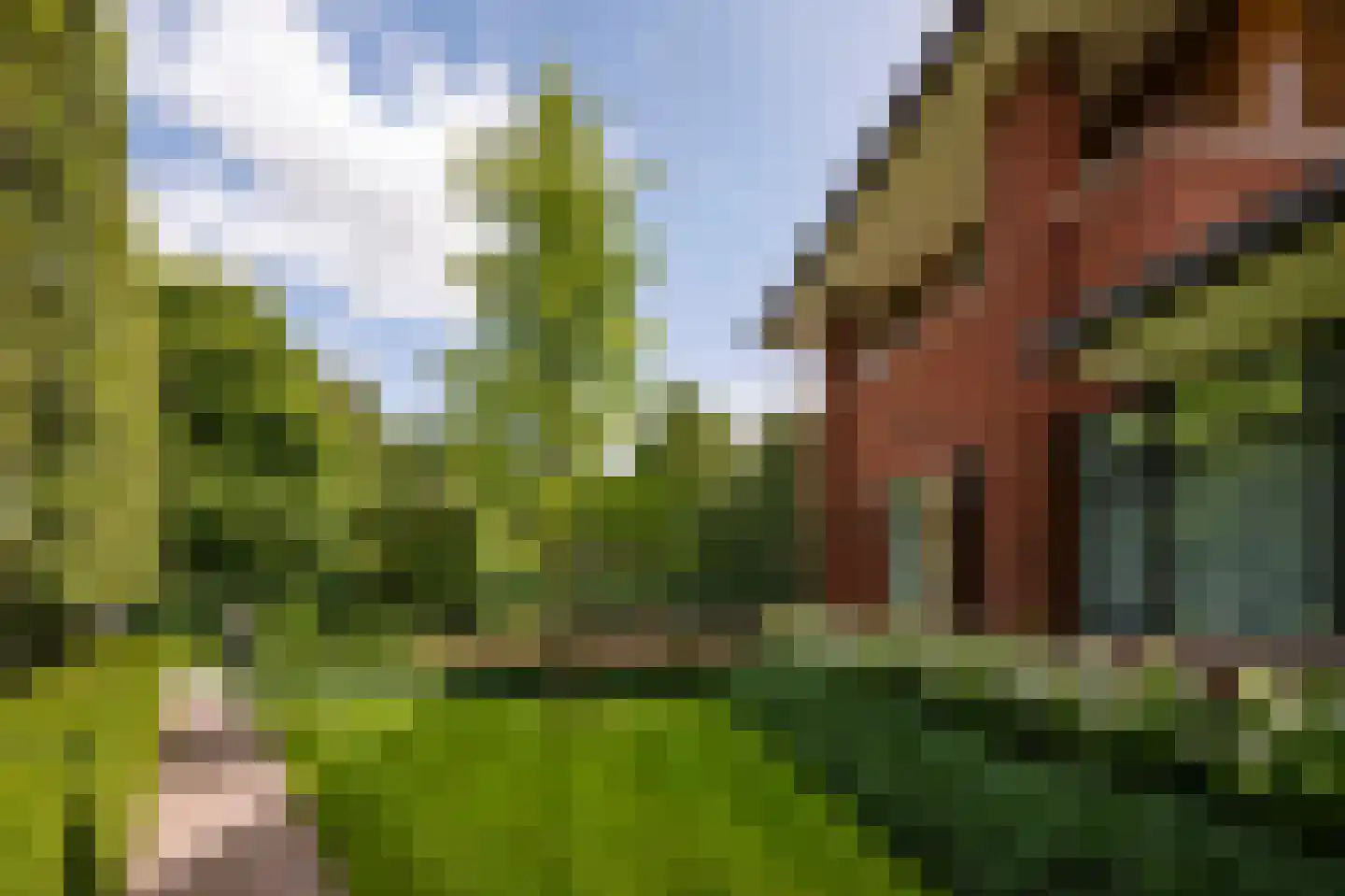 Oude Kerkweg 6 Laren thumbnail 50