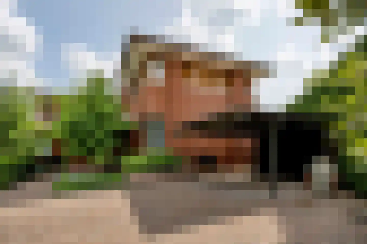 Oude Kerkweg 6 Laren thumbnail 53
