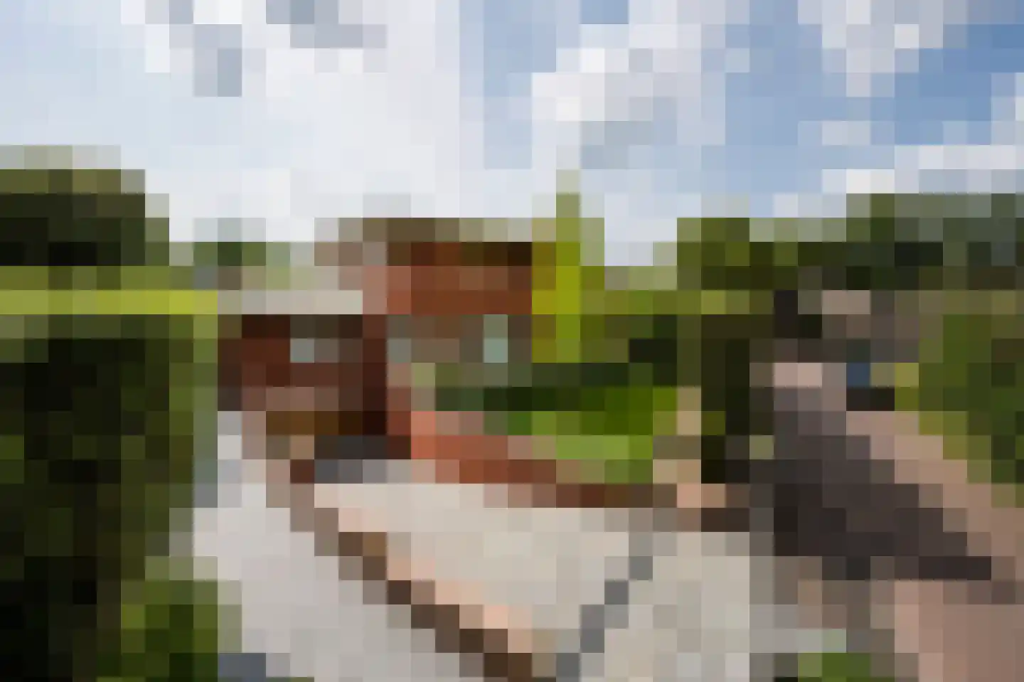 Oude Kerkweg 6 Laren thumbnail 55