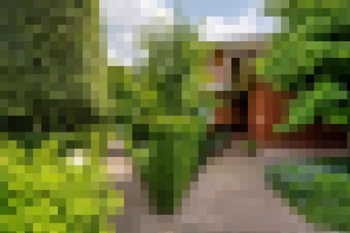 Oude Kerkweg 6 Laren thumbnail 6