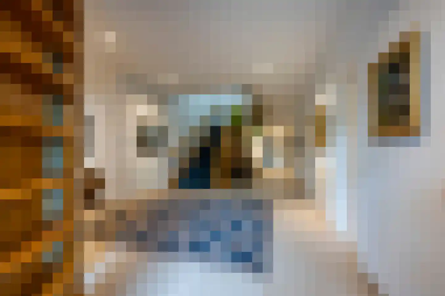 Oude Kerkweg 6 Laren thumbnail 9