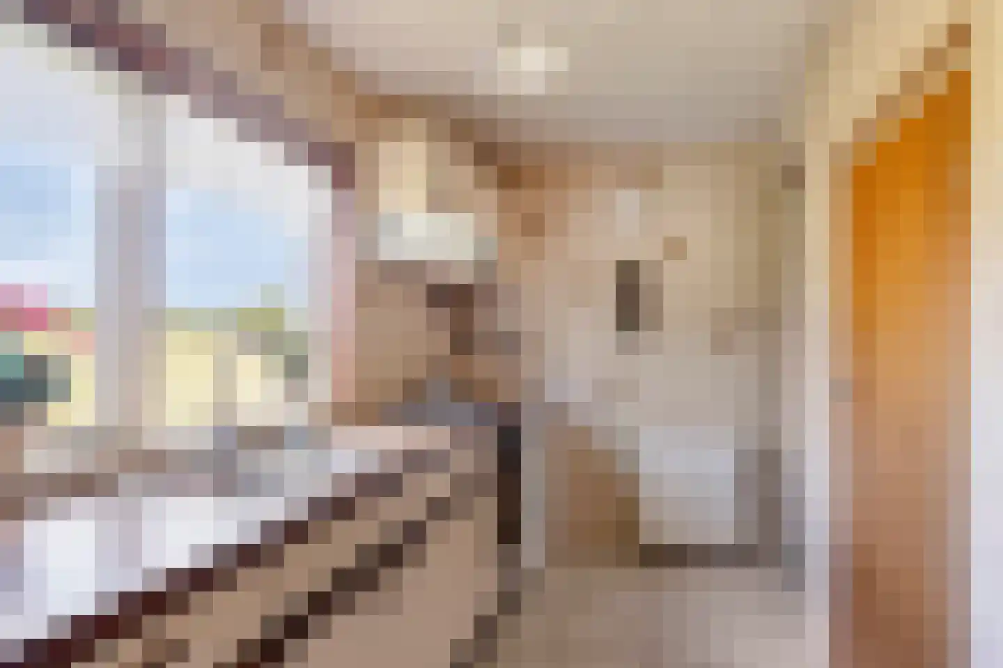 Oude Kerkweg 6 Zenderen thumbnail 19