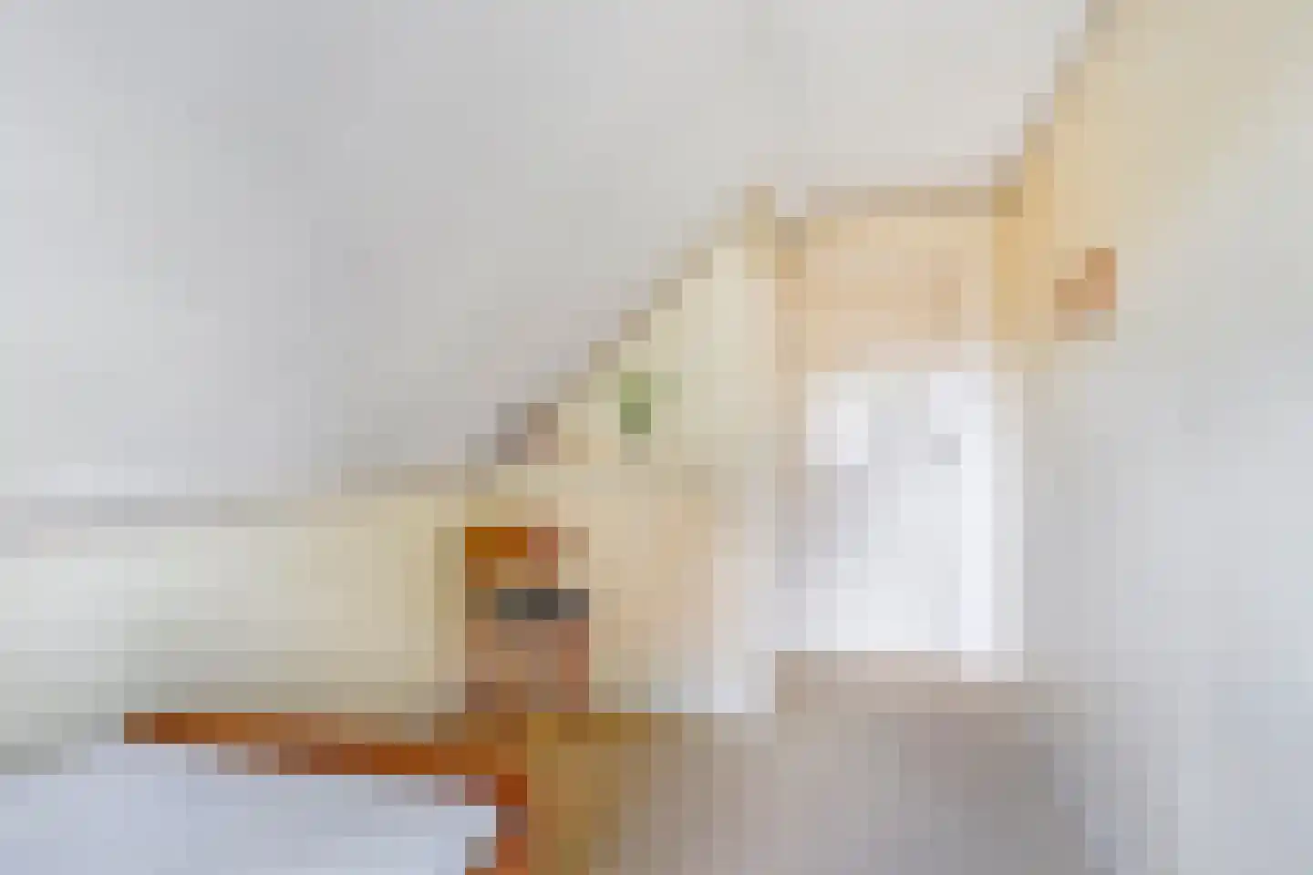 Oude Kerkweg 6 Zenderen thumbnail 33