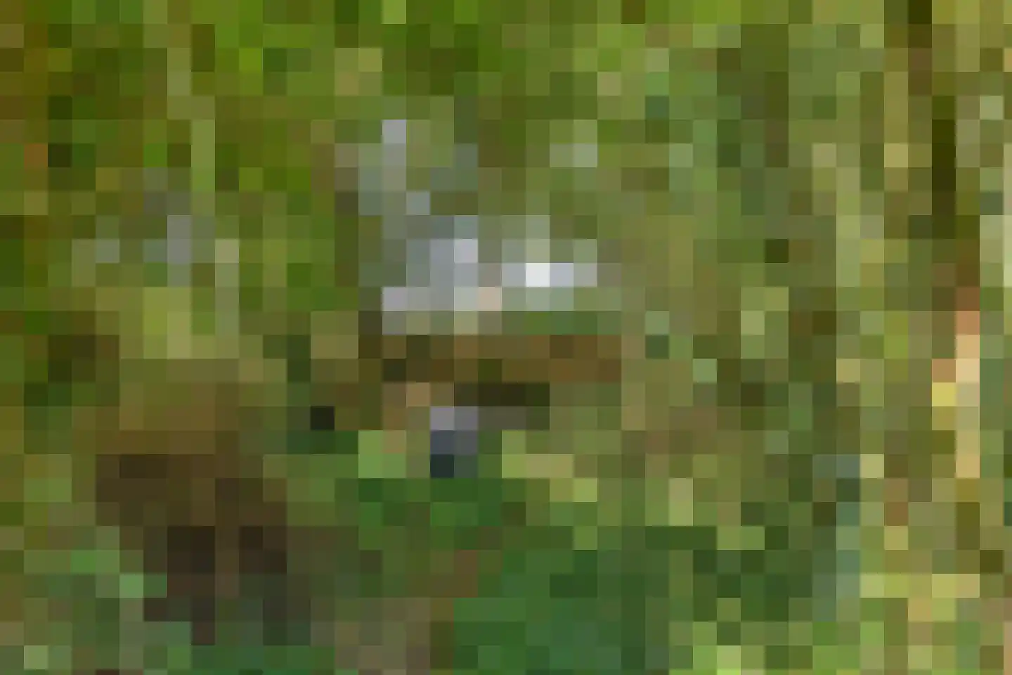 Oude Kerkweg 6 Zenderen thumbnail 37