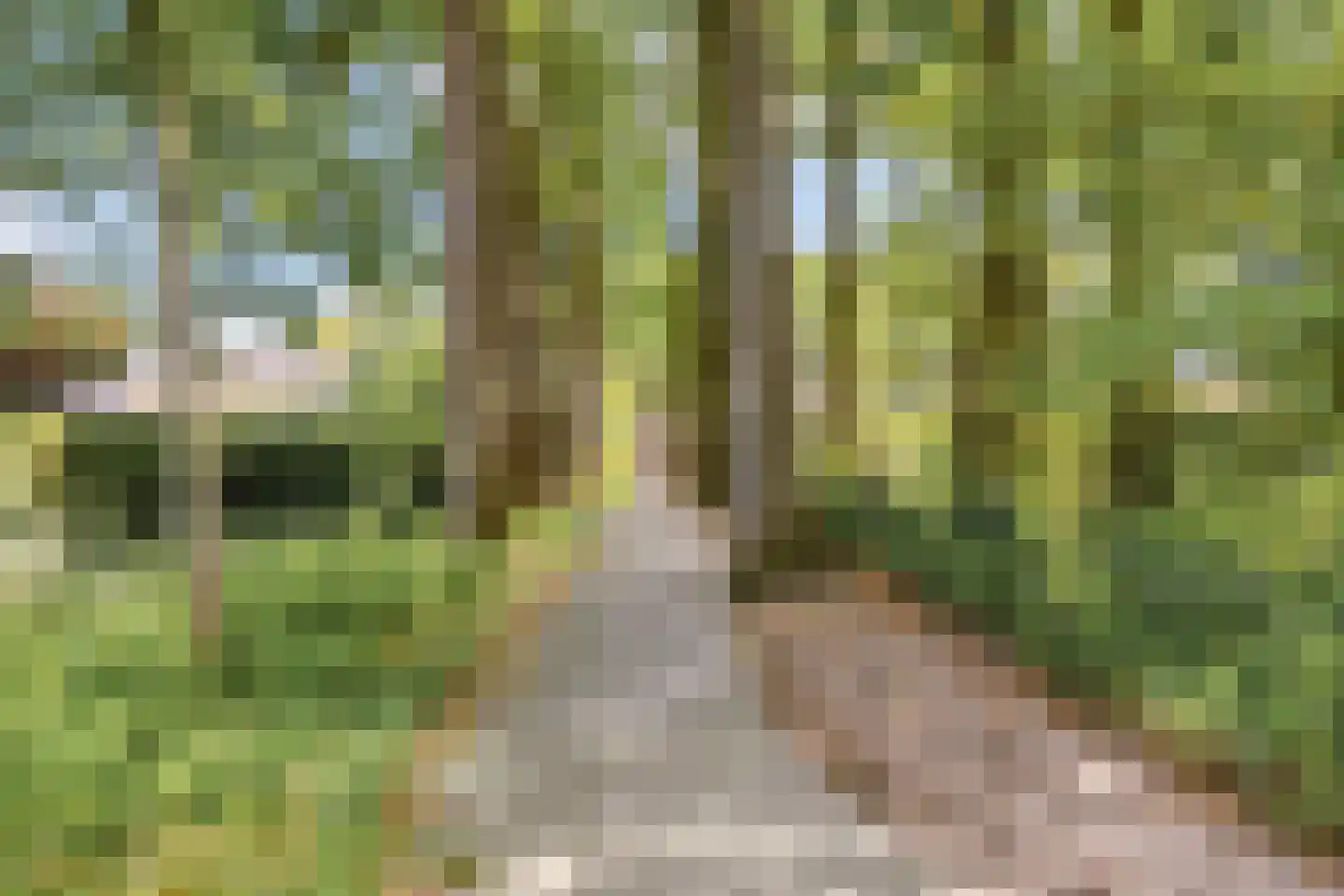 Oude Kerkweg 6 Zenderen thumbnail 39